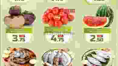 el3rod.com00003-823