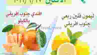 el3rod.com00007-493