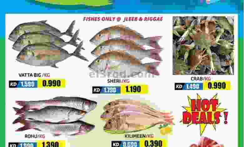 el3rod.com00001-1036