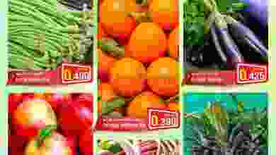 el3rod.com00001-1136