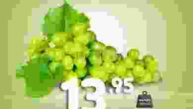 el3rod.com00001-1265