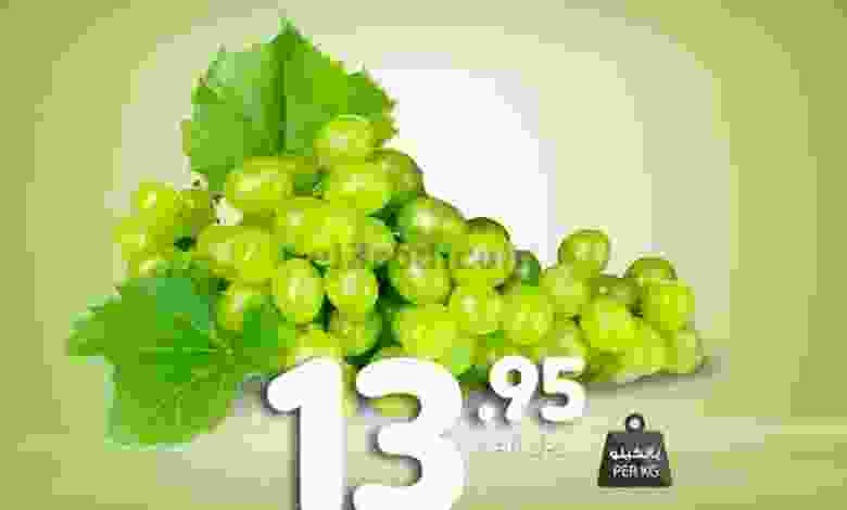el3rod.com00001-1265