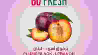 el3rod.com00001-172