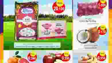 el3rod.com00001-237