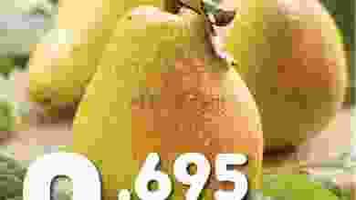 el3rod.com00001-258