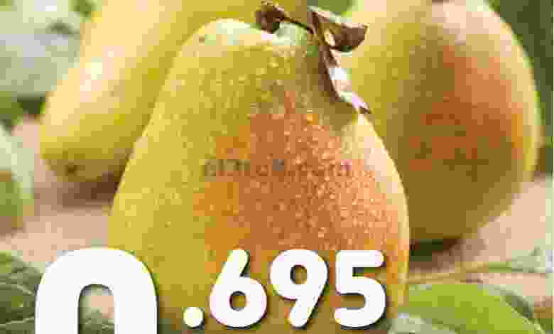 el3rod.com00001-258