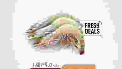 el3rod.com00001-284