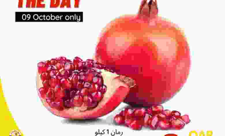 el3rod.com00001-287