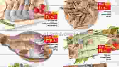 el3rod.com00001-329