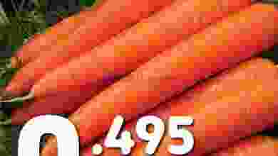 el3rod.com00001-382