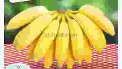 el3rod.com00001-422