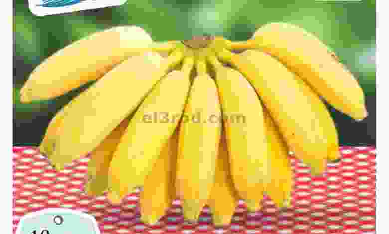 el3rod.com00001-422