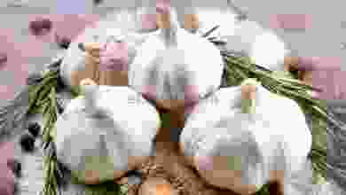 el3rod.com00001-45