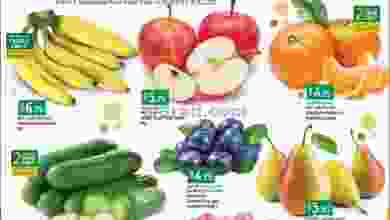 el3rod.com00001-545