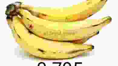 el3rod.com00001-6