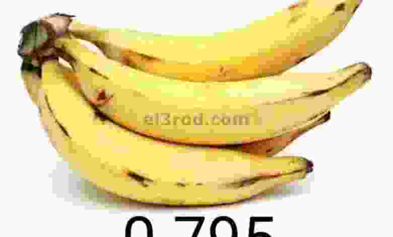 el3rod.com00001-6