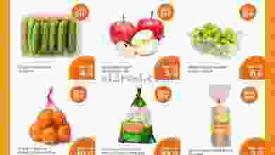 el3rod.com00001-622