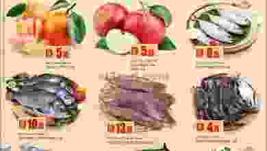 el3rod.com00001-662