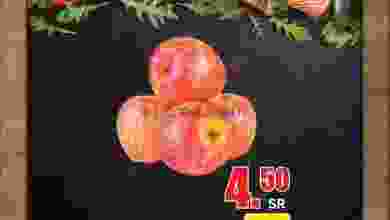 el3rod.com00001-697