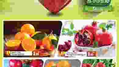 el3rod.com00001-705