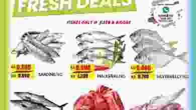 el3rod.com00001-769