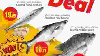 el3rod.com00001-783
