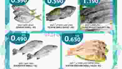 el3rod.com00001-999