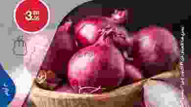 el3rod.com00005-658
