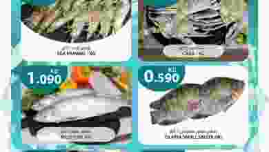 فهرس