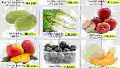 el3rod.com00001-1072
