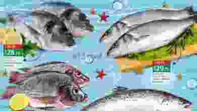 el3rod.com00001-1128