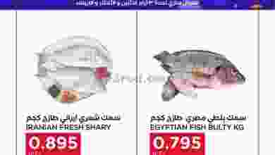 el3rod.com00001-1231