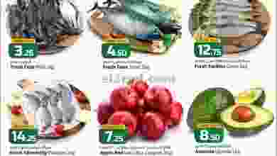 el3rod.com00001-1247