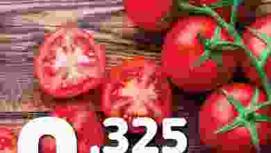 el3rod.com00001-146