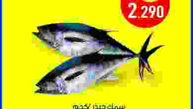 el3rod.com00001-150