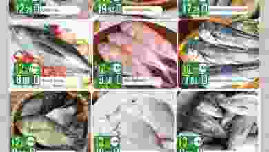 el3rod.com00001-19