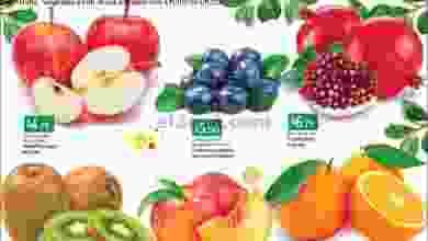 el3rod.com00001-203