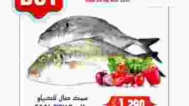 el3rod.com00001-241