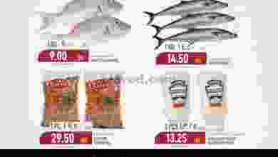 el3rod.com00001-242