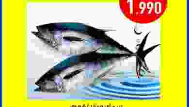 el3rod.com00001-243