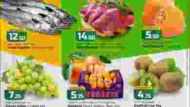 el3rod.com00001-254