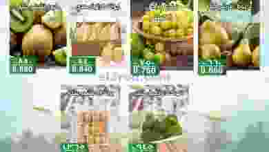 el3rod.com00001-296