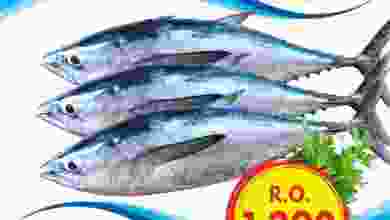 el3rod.com00001-357