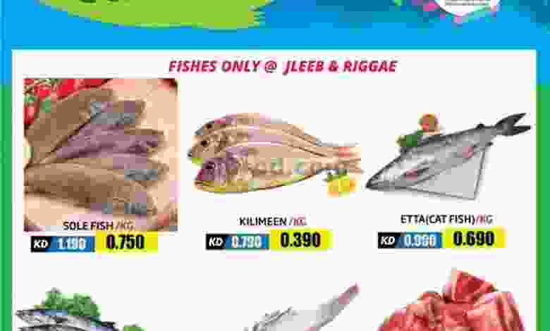 el3rod.com00001-366