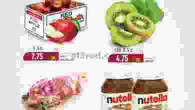 el3rod.com00001-379