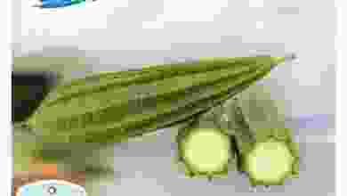 el3rod.com00001-382