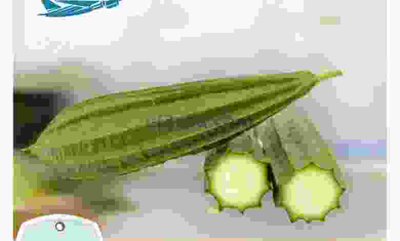 el3rod.com00001-382