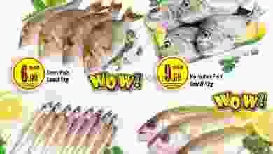 el3rod.com00001