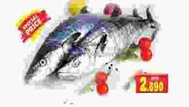 el3rod.com00001-394