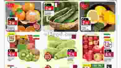 el3rod.com00001-487